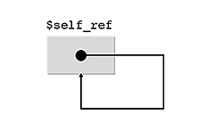 [A scalar variable with an arrow pointing back to itself]