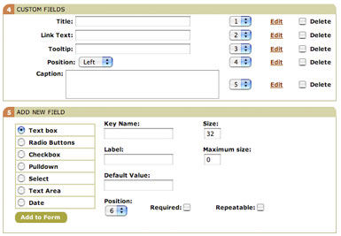 Element custom field definition